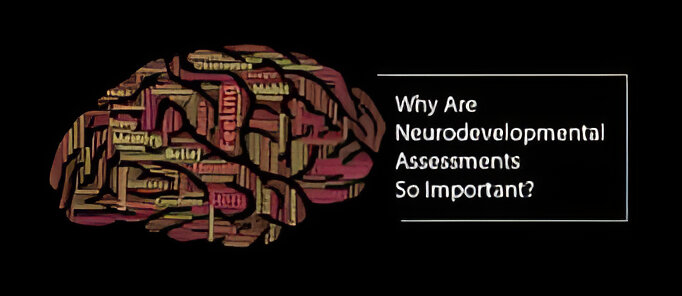 neurodevelopmental