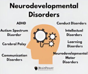 neurodevelopmental