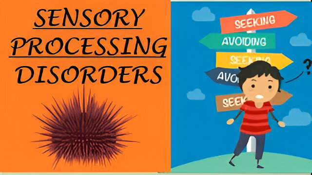 Sensory Processing Disorder