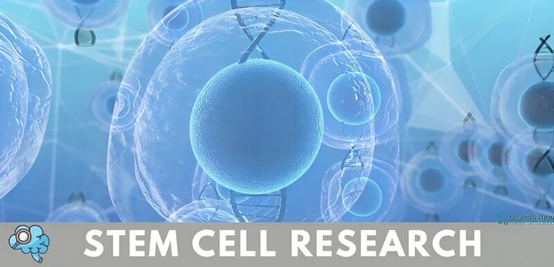 Stem Cell Research